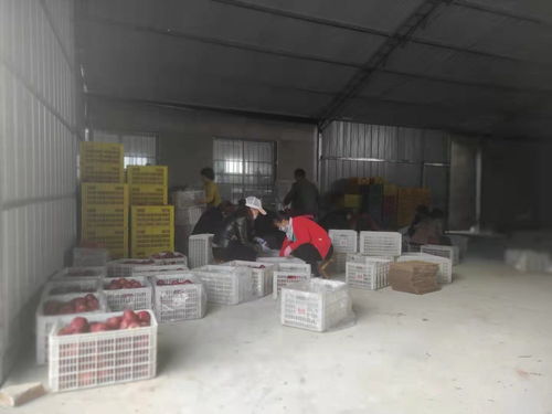 工行温度丨工行于堡村农产品集中交易点建成,农产品交易更便捷啦