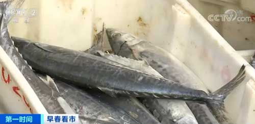 浙江舟山 年后首批新鲜渔获运抵码头 水产交易繁忙