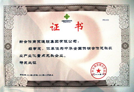 中国供销集团