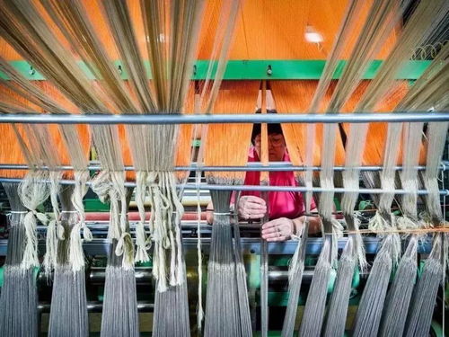 美国出口管制清单新增14类技术，特种纺织品贸易面临新挑战